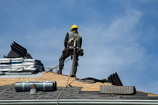 Professional Gutter Installation technician working in Terrell, TX